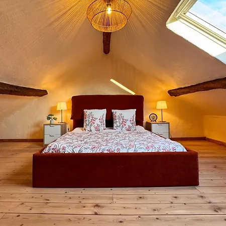Ferienhaus Verveine Marguerite 14 Personnes Avec Jacuzzi *