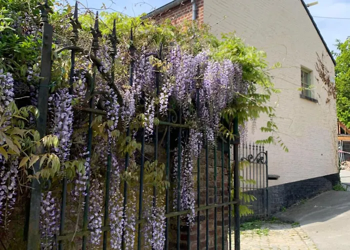 Verveine Marguerite 14 Personnes Avec Jacuzzi * Gembloux