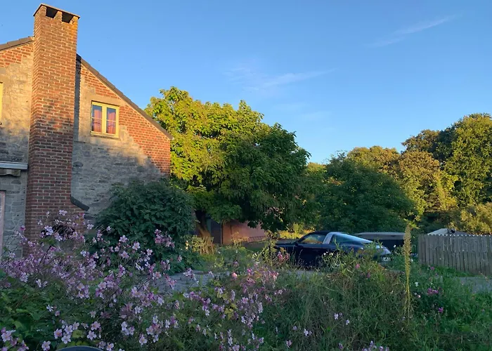 Verveine Marguerite 14 Personnes Avec Jacuzzi * Gembloux